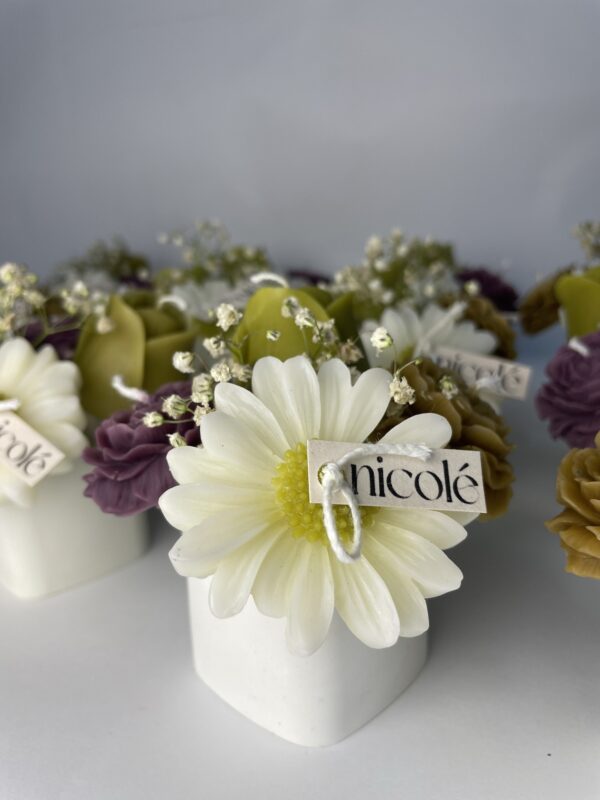 sweet little spring - Image 3